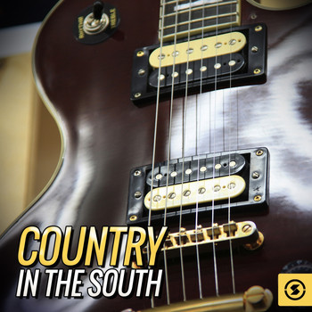 Various Artists - Country in the South