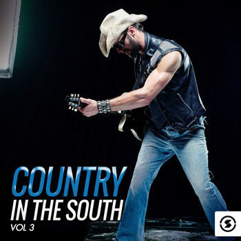 Various Artists - Country in the South, Vol. 3