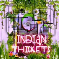 Serginio Chan - Indian Thickets
