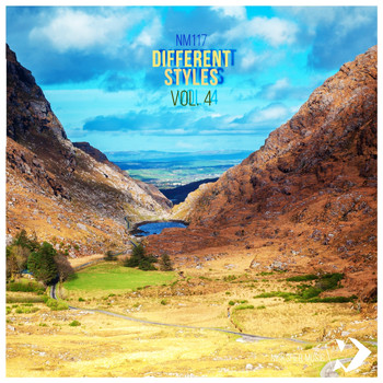 Various Artists - Different Styles Vol.4