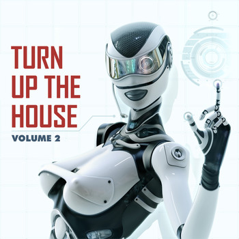Various Artists - Turn Up The House 2