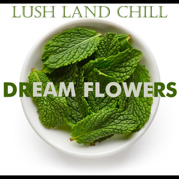 Various Artists - Lush Land : Dream Flowers