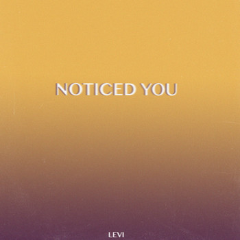 Levi - Noticed You