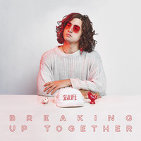 Sealife - Breaking up Together