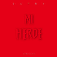 Barry - Mi Heroe