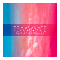 TeamMate - Don't Let Me Let You Go