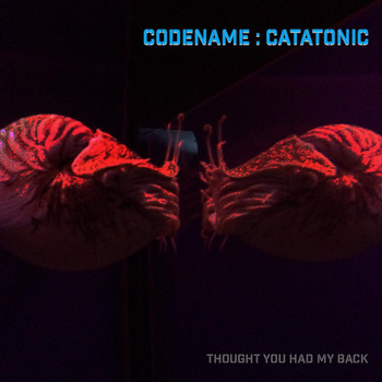 Codename : Catatonic - Thought You Had My Back