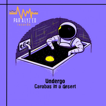 Undergo - Carabas in a desert