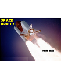 Dying Seed - Space Oddity
