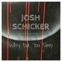 Josh Schicker - Why Did You Sleep