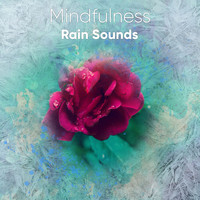 Sleep Sounds of Nature, Spa Relaxation, Asian Zen Spa Music Meditation - 11 Tranquil Rain Noises to Sleep Eight Hours