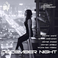 The Darren Phillips Project - December Night