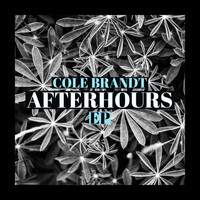 Cole Brandt - After Hours