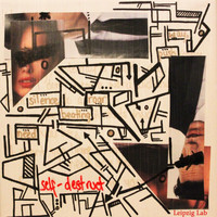 Leipzig Lab - Self Destruct