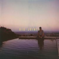 Cam Meekins - Big Joints