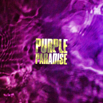 Morgan - Purple Paradise