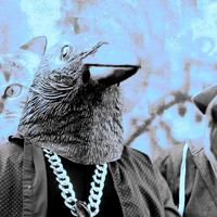 David King - Crazy Crow