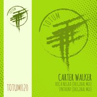 Carter Walker - Synthony
