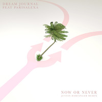 Dream Journal - Now Or Never (feat. ParisAlexa) [Justin Hartinger Remix]