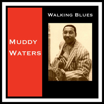 Muddy Waters - Walking Blues
