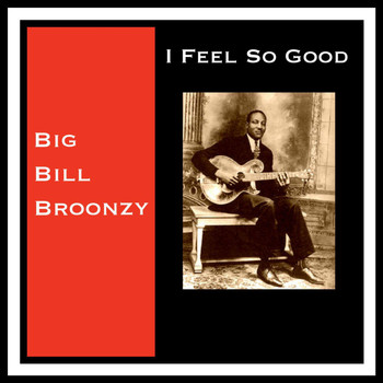 Big Bill Broonzy - I Feel so Good
