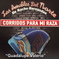 Los Amables Del Norte - Guadalupe Valerio