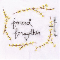 Maddy Walsh - Forced Forsythia