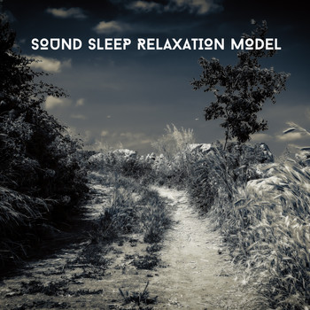 Relaxing Chill Out Music - Sound Sleep Relaxation Model