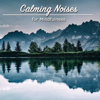 Asian Zen Meditation, Yoga Namaste, Zen - 18 Peaceful Tracks to Still the Mind