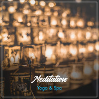 Asian Zen: Spa Music Meditation, Healing Yoga Meditation Music Consort, Zen Meditate - 19 Hypnotic Tracks to Clear your Mind