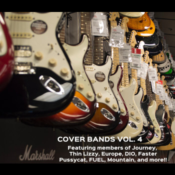 Various Artists - Cover Bands Vol. 4