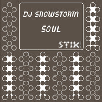 DJ SNOWSTORM - Soul