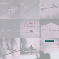 Josefine Cronholm - Blackbird
