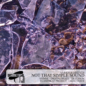 Various Artists - Not That Simple Sound