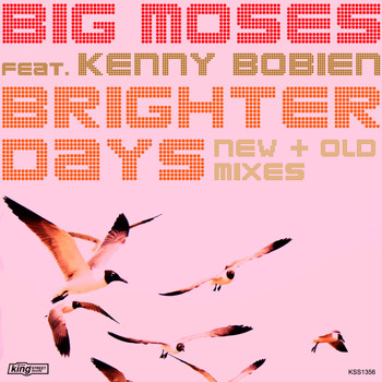 Big Moses feat. Kenny Bobien - Brighter Days