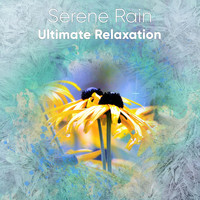 Zen Music Garden, White Noise Research, Nature Sounds - 16 Relaxing Rain Songs for Enhanced Wellness