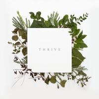 Thrive Worship - Thrive