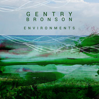 Gentry Bronson - Environments