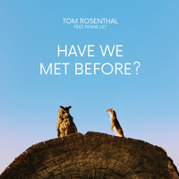 Tom Rosenthal feat. Fenne Lily - Have We Met Before?