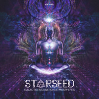 Starseed - Galactic Incubation Atmospheres