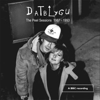 Datblygu - The BBC Peel Sessions 1987 - 1993