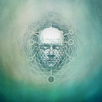 22 - You Are Creating: Limb1