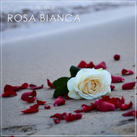 Luciano De Palma - Rosa Bianca