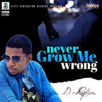 Di-Ruption - Never Grow Me Wrong