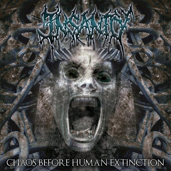 Insanity - Chaos Before Human Extinction