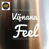 Vijnana - Feel