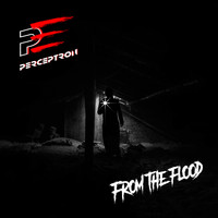 Perceptron - From the Flood