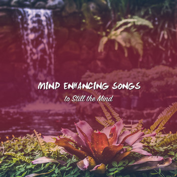 Spa, Spa Music Paradise, Spa Relaxation - 1 Hour Relaxing, Ambient Noises for Rejuvenation