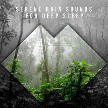 Rain Sounds, Calming Sounds, Nature Sounds Nature Music - 13 Serene Rain Storms for Relaxation & Sleep