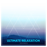 Asian Zen: Spa Music Meditation, Healing Yoga Meditation Music Consort, Zen Meditate - 16 Relaxing, Ambient Noises to Free the Soul